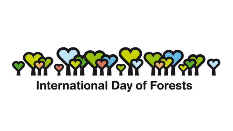 international-day-of-forests-16x9