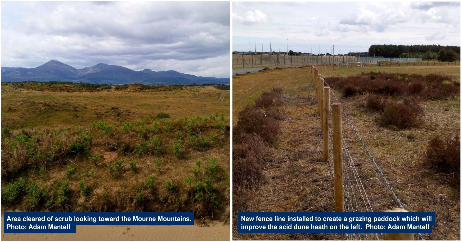 Cleared scrub and new fenceline